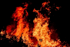 flames-of-the-spring-fire