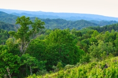 blue-ridge-landscape